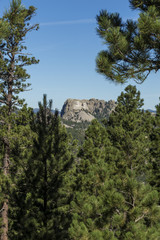 Mount Rushmore Landscape