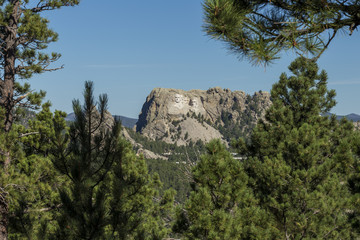 Mount Rushmore Landscape