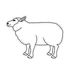 Lamb icon. Livestock animal life nature and fauna theme. Isolated design. Vector illustration