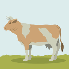 Cow icon. Livestock animal life nature and fauna theme. Colorful design. Vector illustration