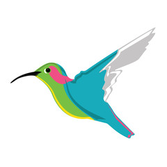 Small exotic hummingbird