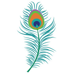 Peacock feather vector
