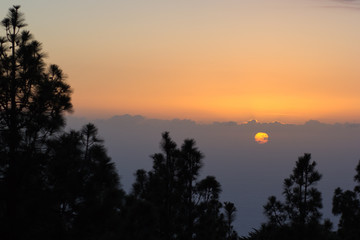 Silhouette trees and sunset with sun behind clouds.