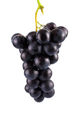 Bunch of black grapes. On white, isolated background.