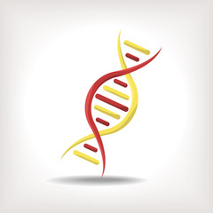 DNA, Flat design, vector illustration, isolated on white background