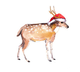 Christmas deer in red santa's hat. Watercolor xmas animal