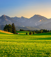 Typische Landschaft im Allgäu, grüne Wiesen und Berge im Abendlicht, hinten die Alpen