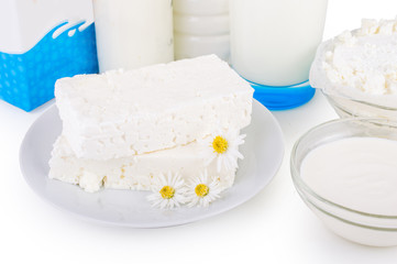 White cheese in the saucer with daisies. Dairy products. On white, isolated background.