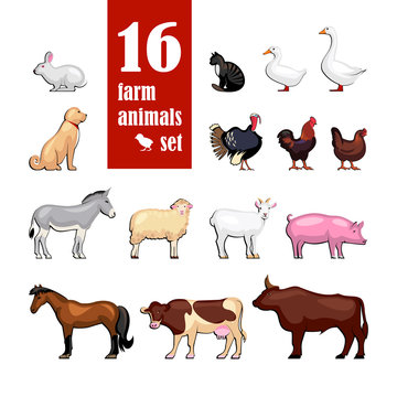 Vector Farm Animals flat icons set for domestic fauna design. Cow, horse, cat, sheep, chicken, rooster, hen, duck, turkey, goat, rabbit, dog, donkey, pig, beef, goose isolated on white background