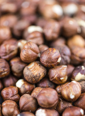 Hazenut (background image)