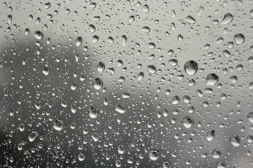 Drops of rain on the window