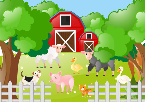 Farm animals living the farmyard