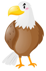 Naklejka premium Wild eagle on white background