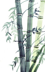 Watercolor paintings of bamboo