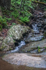 Naklejka na ściany i meble Dark Hollow Falls In The Shenandoah Valley National Park 