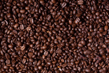 Coffee beans background