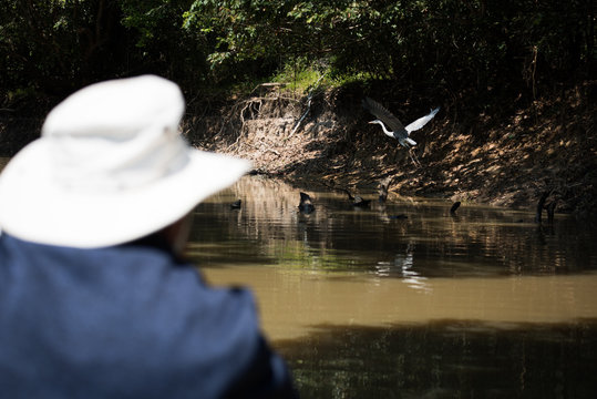 Cocoi Heron Watched By Man In Boat