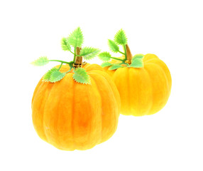fancy pumpkin isolated on white background