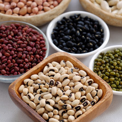 Collection of bean on white background