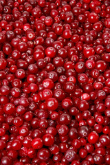 A lot of cranberry. Berry background