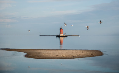Seagulls Flying Past The Lighthouse At Cape Henlopen - obrazy, fototapety, plakaty