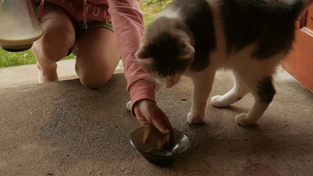 Child pours milk for cat on the doorstep