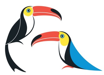 Toucan. Cartoon