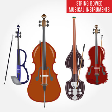 Set of string bowed musical instruments, vector illustration