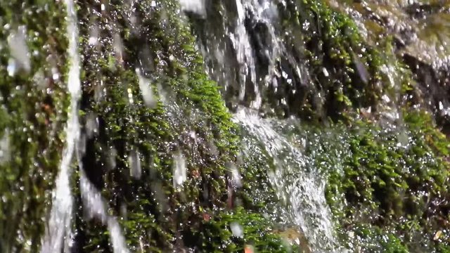 Wasser rinnt &uuml;ber bemooste Felsen