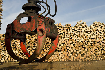 Heavy lifting crane loading cut wooden logs