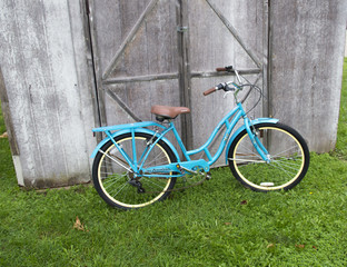 Fall Schwinn 