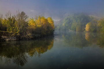 Morning mists I