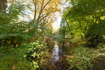 Small Creek with fallen leaves at Krefeld / Germany
