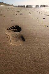 Fototapeta na wymiar Fußabdruck im Sand am Strand