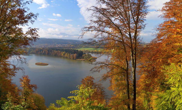 Herbststimmung an der Wernberger Drauschleife ( Altwasser) / Kärnten / Österreich