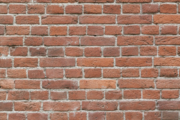 Wall from bricks on cement.