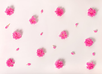 Obraz na płótnie Canvas flat lay of beautiful trendy seamless pattern flowers on pink ba