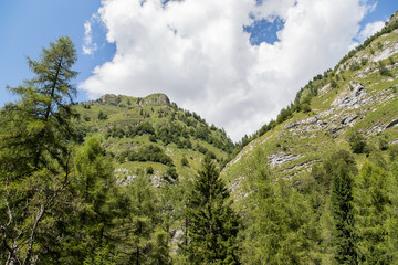 Fototapeta na wymiar Berglandschaft am Beginn des Tals Valle del Vescova; Bellunesische Nationalpark, Dolomiten, Sommer