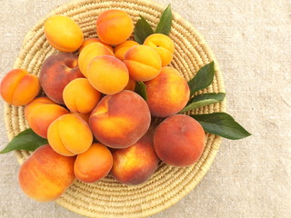 apricots and peaches