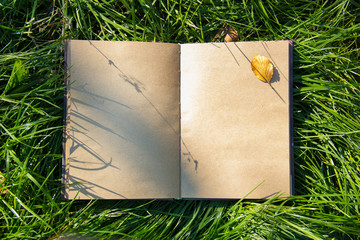 An open notebook book lying on green grass. Diary with blank pages yellow