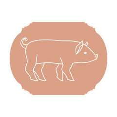 Pork icon. Livestock animal life nature and fauna theme. Isolated design. Vector illustration