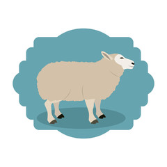 Lamb icon. Livestock animal life nature and fauna theme. Isolated design. Vector illustration
