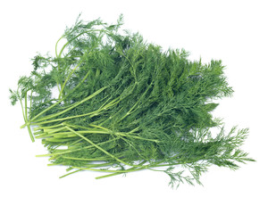 Fresh organic dill isolated on white background
