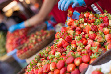 red fresh strawberry selling in fresh market, Dalat, Vietnam