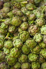 Fototapeta premium fresh artichoke selling in market with farmer's hand picking for sell, Dalat,Vietnam