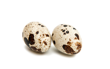 Fototapeta premium quail eggs