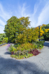 the Cloisters park in New York