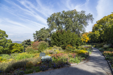 the Cloisters park in New York