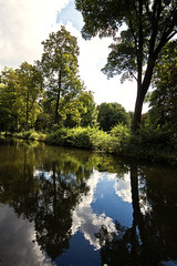 Fototapeta na wymiar Germany, Bavaria, sky, clouds and wood reflection on the surface of a pond