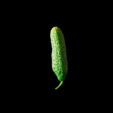 Green cucumber on a black background